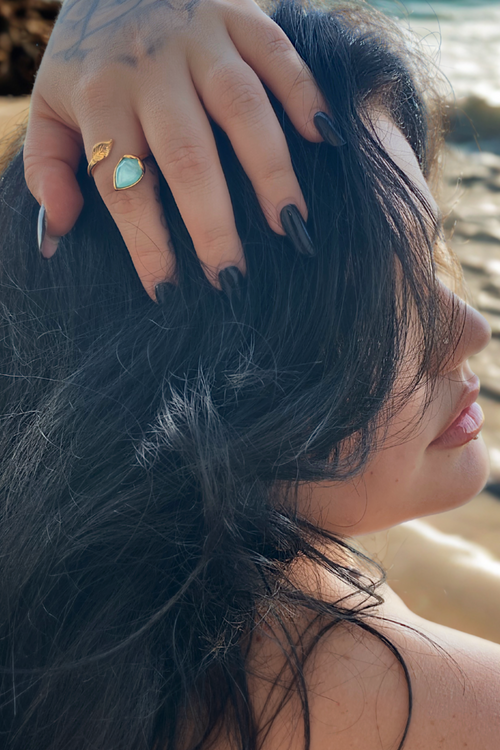 Anello Aria e Oceano
