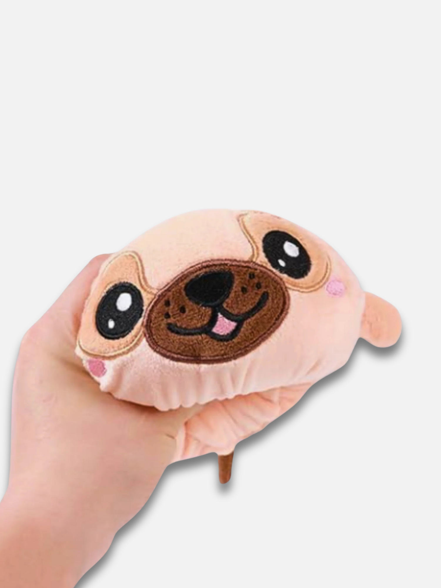 Puffioli