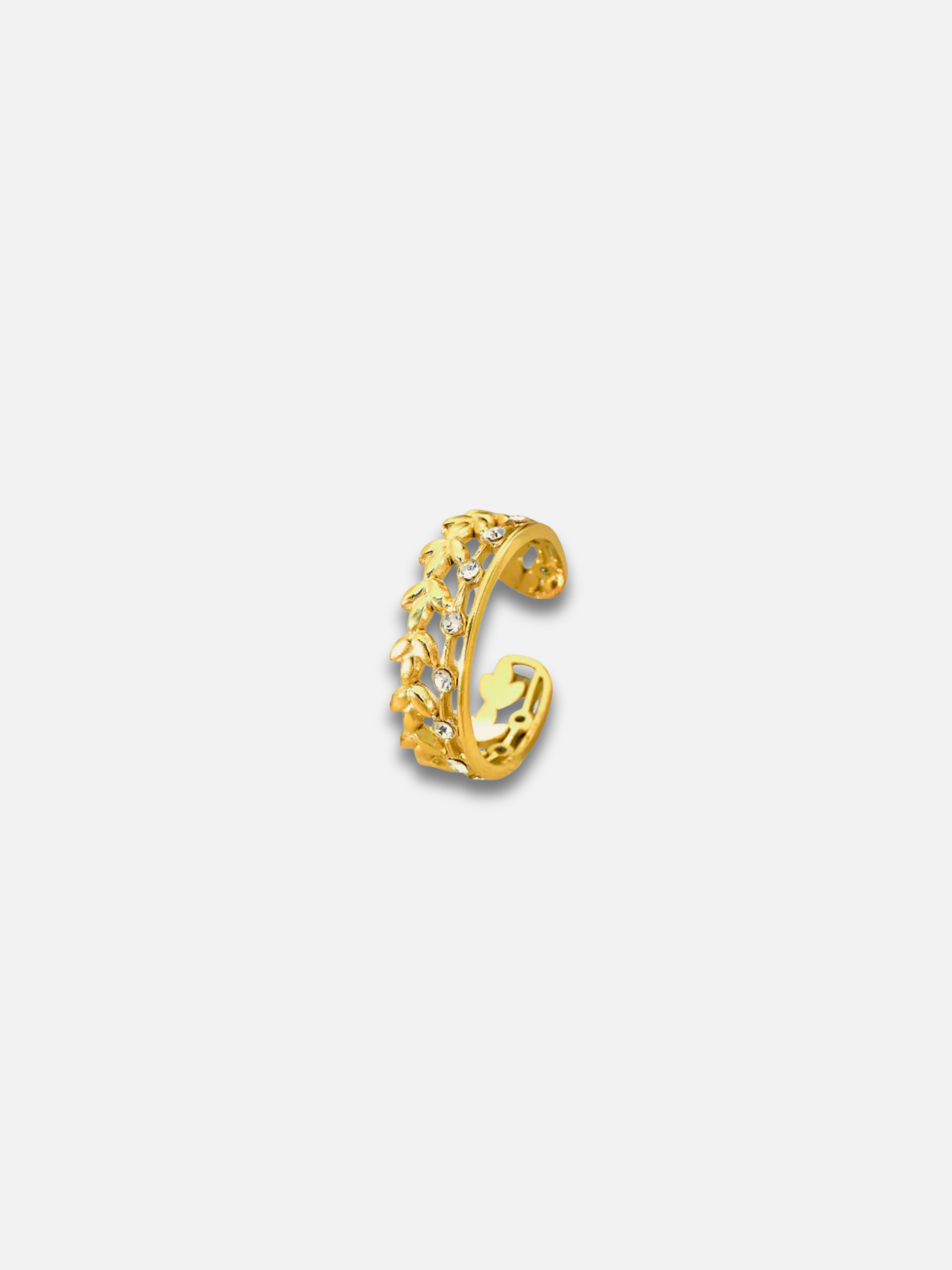 Anello Victalis