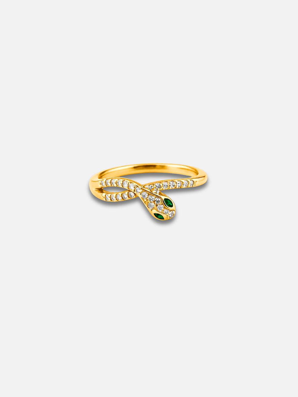 Anello Echidna