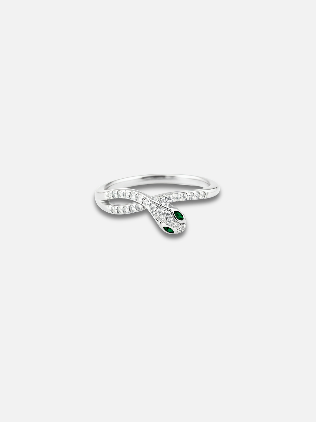 Anello Echidna