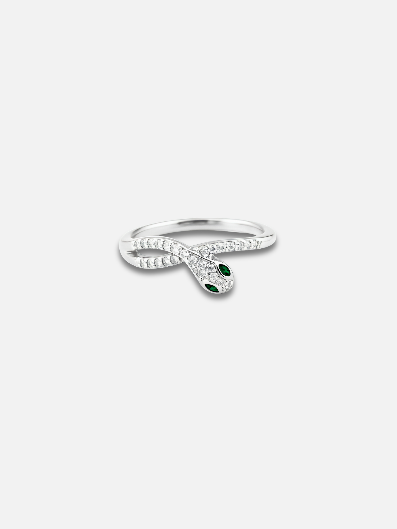 Anello Echidna