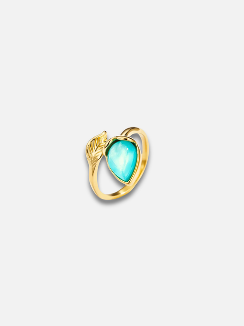 Anello Aria e Oceano